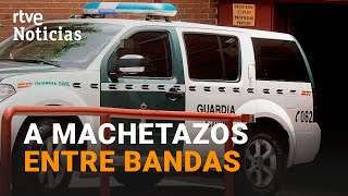 BANDAS LATINAS 11 DETENIDOS tras el ASESINATO de un JOVEN en MADRID  RTVE Noticias [upl. by Daven]