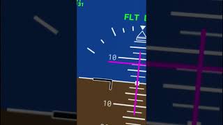 Diese 787 ist fast abgestürzt AeroNews shorts [upl. by Hgielek784]