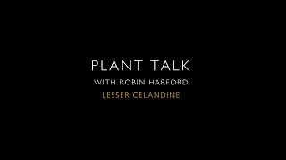 Plant Talk The Past and Present Edible Uses of Lesser Celandine by Robin Harford [upl. by Yendahc]