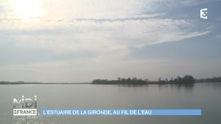 FEUILLETON  LEstuaire de la Gironde au fil de leau [upl. by Ahsienak]