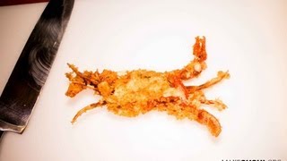 How to make tempura softshell crab [upl. by Aysab]