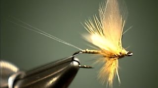 Compara May fly tying video instruction by Shane Stalcup [upl. by Yrhcaz]