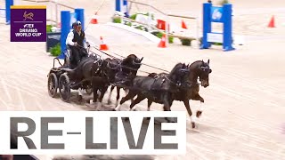 RELIVE  Competition 2  FEI Driving World Cup™ 20232024 Lyon [upl. by Aeneg]