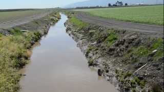 Reclamation Ditch Salinas [upl. by Airotna]