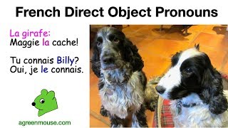 Introduction to French Direct Object Pronouns [upl. by Carbo]