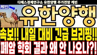 유한양행 주가전망 속보 내일 대비 긴급 브리핑 폐암 학회 결과 왜 안 나오나 feat디에스경제연구소 케빈 [upl. by Pillyhp]