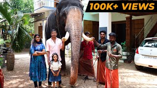 ഗജവീരൻ ശ്രീ അയ്യപ്പനെ പരിചയപ്പെടാം  Kerala Elephant Sree Ayyappan  Cheerulli Media [upl. by Akihc481]