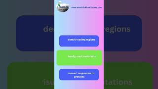 Mastering DNA Mutation Analysis A Complete BioEdit Guide  Everblink Healthcare Pvt Ltd [upl. by Taber463]