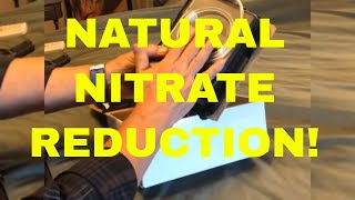 Natural Aquarium Nitrate Reduction Unboxing a New Algae Scrubber from Santa Monica Filtration [upl. by Odidnac]