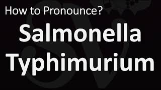 How to Pronounce Salmonella Typhimurium CORRECTLY [upl. by Leffert]