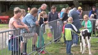 RTVSternet 20160804 De Boer op 482016 [upl. by Hittel]