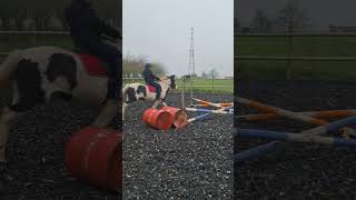 chevaux equestrian equestre obstacles [upl. by Oirelav]