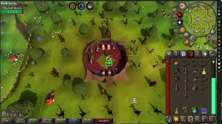 Abyssal Demons  Best Slayer Guide  Wilderness  Catacombs Methods [upl. by Rois]