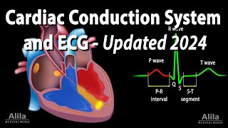 Cardiac Conduction System and Understanding ECGEKG  Updated 2024 Animation [upl. by Otokam]