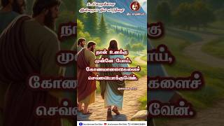 Vendaam Vendaam Father S J Berchmans shorts youtubeshorts frsjberchmans tamilchristsongs [upl. by Harihat]