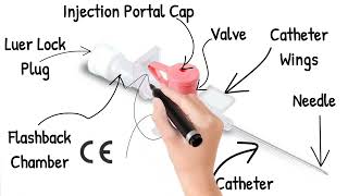 IV Cannula Parts amp Uses l Clinical Procedure l Intravenous Cannula l Animated Video l Nursing Study [upl. by Eleirbag]