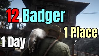 Bagging a Dozen Badger in One Spot in One Day  Red Dead Redemption 2 [upl. by Nanine]