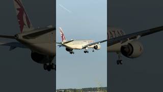 AIRBUS A350941 QATAR AIRWAYS DOHA TO AMSTERDAM LANDING SCHIPHOL AIRPORT  PLANE SPOTTING  A7ALC [upl. by Willett53]