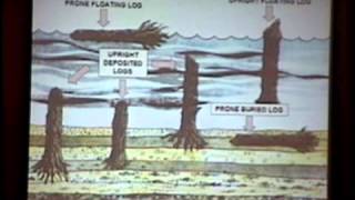 Worldwide Geologic Evidence of the Genesis Flood [upl. by Neils]