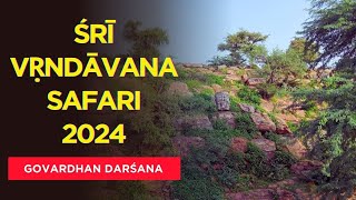 Śrī Vṛndāvana Safari 2024 Govardhan Darśana [upl. by Schmitt]