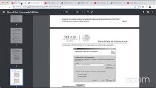 Publicación de documentos en el Diario Oficial de la Federación SGOB01001 México 🇲🇽2021 [upl. by Akessej583]
