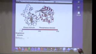 Kevin Aherns BiteSized Biochemistry 24  Gluconeogenesis II Carbohydrate Metabolism [upl. by Ellehsor]