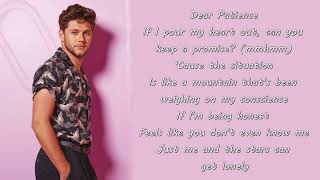 Niall Horan  Dear Patience Lyrics [upl. by Minny]