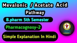 Acetate Pathway Mevalonic Acid Pathway Pharmacognosy2nd pharmacognosy [upl. by Nomde]