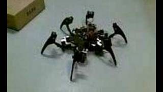 Hexapod Phoenix running complete project [upl. by Eiramanel]