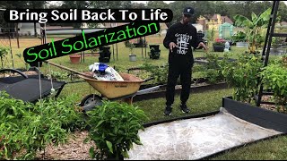 Bring soil back To Life  soil solarization garden gardening [upl. by Scoville]