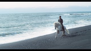 The Horses of Iceland official video [upl. by Colb]