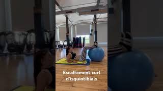 Escalfament curl disquiotibials [upl. by Adnilec370]