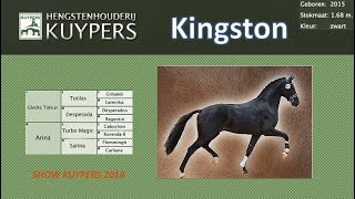 Kingston  Show Kuypers 2018 [upl. by Fawne]