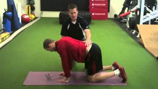 The Bird Dog with progressions For Lower Back Rehabilitation [upl. by Grannias506]