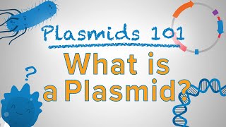 What is a Plasmid  Plasmids 101 [upl. by Vania]