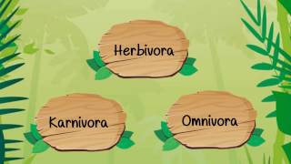Penggolongan Hewan Berdasarkan Jenis Makanannya Herbivora Karnivora amp Omnivora  Materi IPA SD [upl. by Portie]