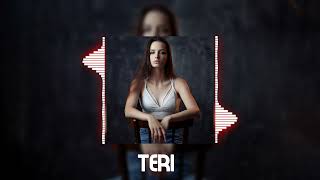 Teri  Indian ReMix Music 2024 [upl. by Akienahs372]