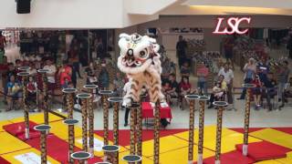 Genting Lion Dance  2017 Central Region Champion [upl. by Alyahs]