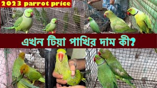 বর্তমান বাজারে টিয়া পাখির দাম কতRingneck parrot Price In MarketIndian Ringneck Price2023😱😲 [upl. by Nwadal]