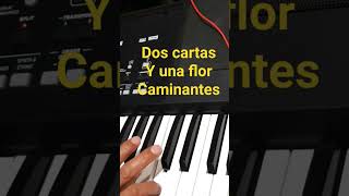 Los Caminantes  Dos Cartas y una Flor en teclado korg pa 300 [upl. by Yliak]