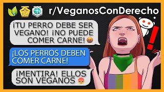 quotVEGANA CON DERECHOS QUIERE QUE MI PERR0 SEA VEGANOquot  rVeganosConDerecho [upl. by Lais]