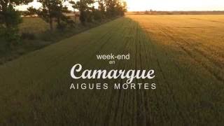 Camargue by drone [upl. by Dian238]