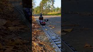 Lego Train  The Camera Team in the Forest 2 shorts lego toys [upl. by Ynaiffit]