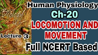 NCERT Ch20 Locomotion and Movement Class XI Human Physiology lecture 3 Boards [upl. by Aimej]