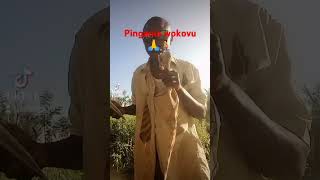 cover songs natureman agriculturefarming Steve mtumishi farmers [upl. by Ameer506]