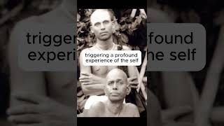 Part 1 Annamalai Swami’s Journey Beyond the Ashram [upl. by Fritts881]