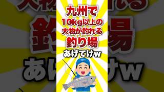 九州で10kg以上の大物が釣れる釣り場あげてけww shorts 釣り [upl. by Kinelski]