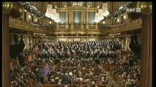 Beethoven 9  Finale  Freude schöner Götterfunken Teil 33 [upl. by Nyladgam582]