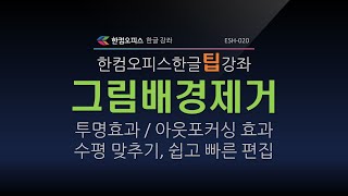 ESH020 한컴오피스 한글 그림배경제거 방법 투명효과 아웃포커싱 효과 수평 맞추기 효과 기능 강좌 한글그림배경제거 한글아웃포커싱효과 한글그림수평맞추기 [upl. by Derdlim]