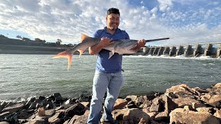 2024 SD paddlefish fishing [upl. by Namurt]